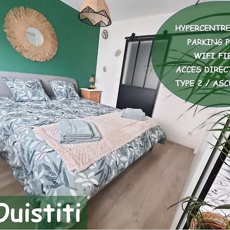 Le Ouistiti - 50 M De La Gare - Parking Prive Apartment Tours Exterior foto